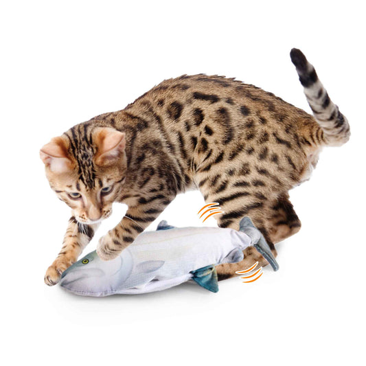 Jittering Sardine Cat Toy